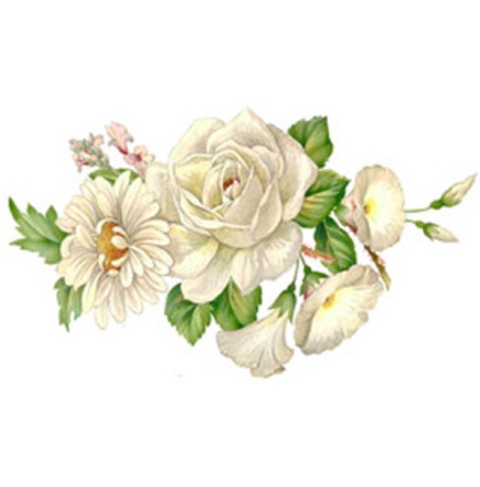 Vit blomsterprakt - 70 x 40 mm - 5 st.