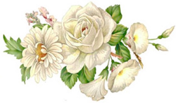 Vit blomsterprakt - 70 x 40 mm - 5 st.