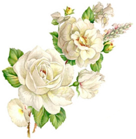 Vit blomsterprakt - 75 mm - 5 st.