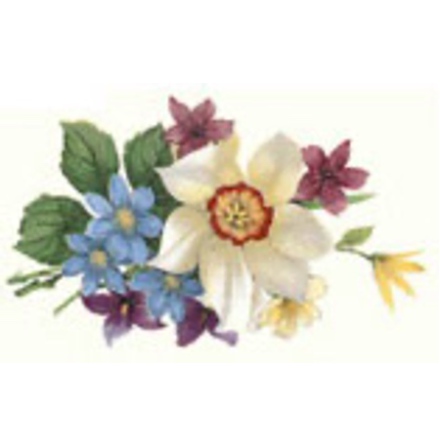 V�r - 50 mm - 5 st.