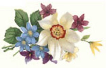 V�r - 50 mm - 5 st.