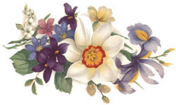 V�r - 82 mm - 1 st.