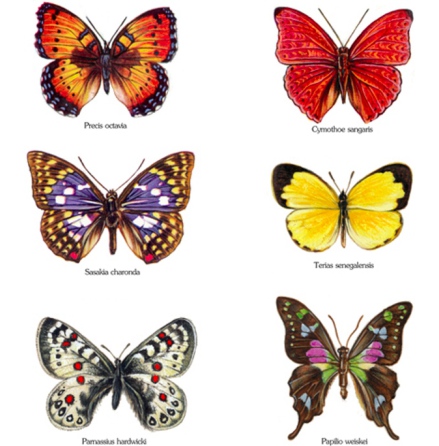 Glada fj�rilar - set med 6 st.