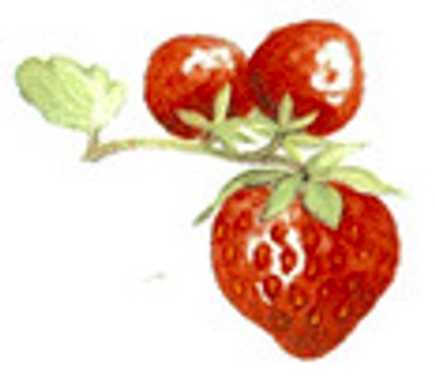 Jordgubbe 34 x 20 mm - 5 st.