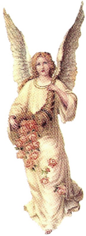 �ngel - 95 mm - 1 st.