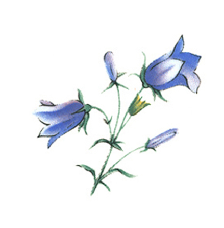 Bl�klocka - 40 mm - 10 st.