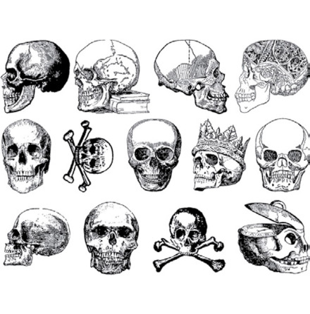 D�dskallar - Guld