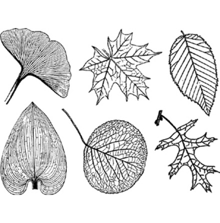 Blad stora -  Koppar