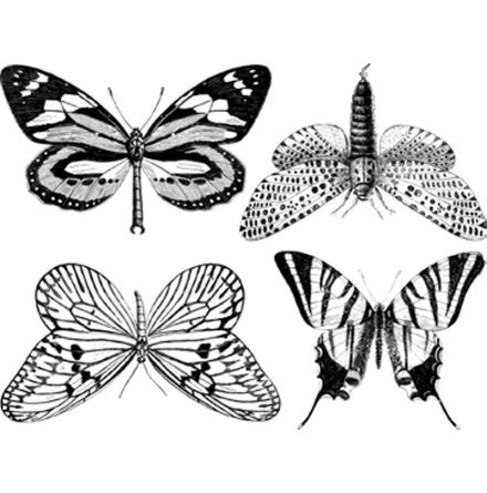 Fj�rilar stora - Koppar