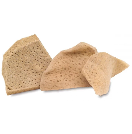 Natur svamp - Elefant �ra 