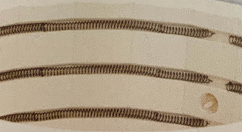 Element f�r Nabertherm toppmatade ugnar