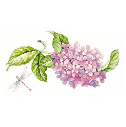 Hortensia - 95 mm - 1 st. 