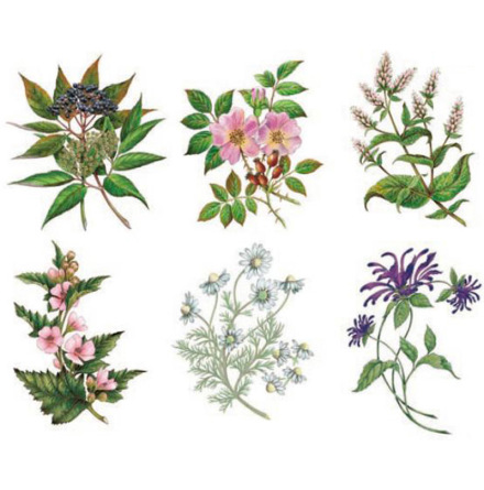 Te blommor - 85x60 mm - ark med 6 st.