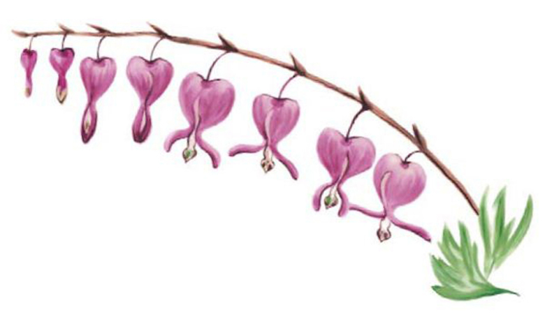 L�jtnantshj�rta - 1 st.