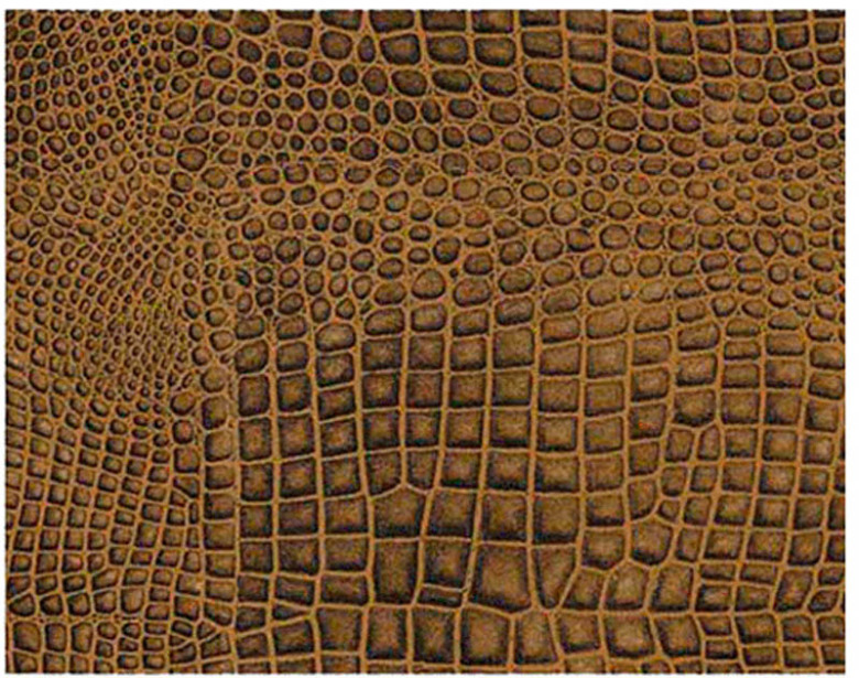 Krokodil i 3D - 57x80 cm