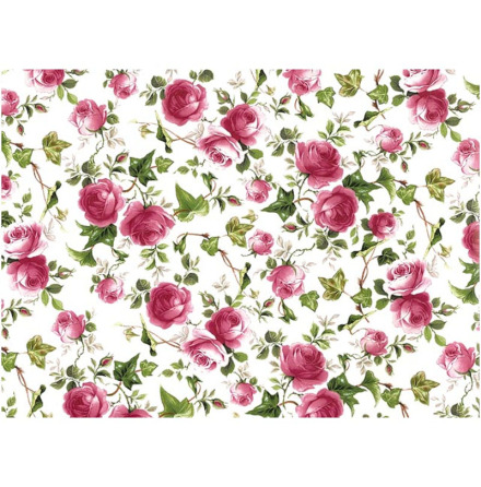 Murgr�na Ros 70x50cm