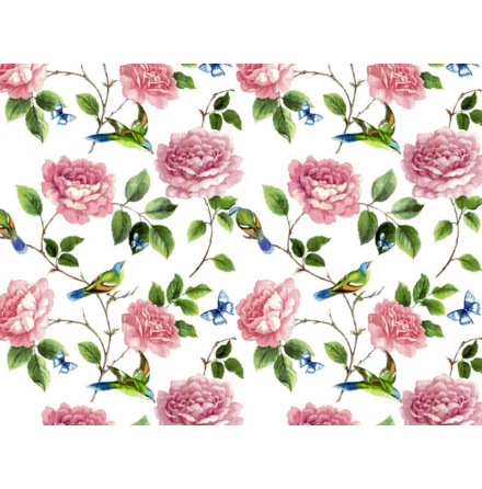 Exotiska f�glar 70x50cm