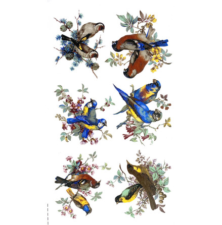 F�glar 65 mm - set med 6 olika