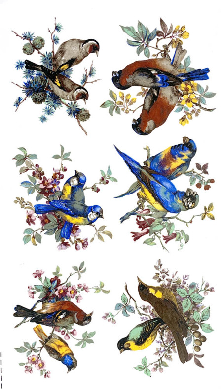 F�glar 65 mm - set med 6 olika