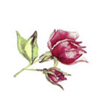 Rosegarden - 30x30 mm - 5 st.