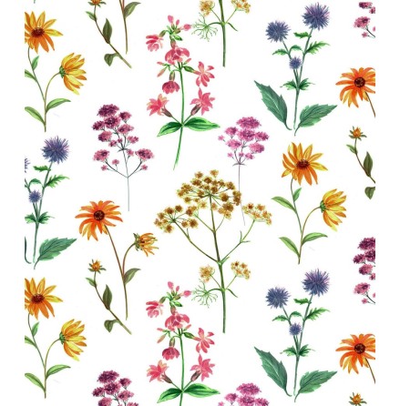 �ngsblommor 70x50cm