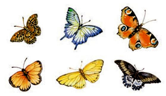 Fj�rilar - 35 mm - ark med 24 st